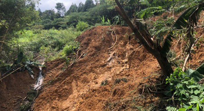 BPBD Catat 14 Kecamatan di Kabupaten Bogor Diterjang Bencana Selama Februari 2023 termasuk longsor