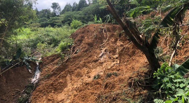 BPBD Catat 14 Kecamatan di Kabupaten Bogor Diterjang Bencana selama Februari 2023