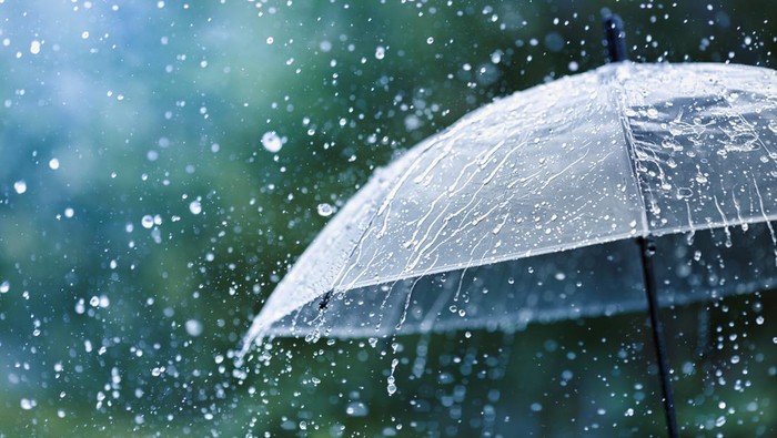 Ramalan Cuaca Minggu 7 Januari 2024, BMKG : Hujan Petir