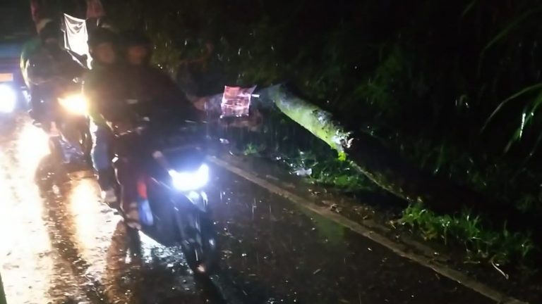 Lima Kecamatan di Kabupaten Bogor Diterjang Bencana Alam H+2 Lebaran