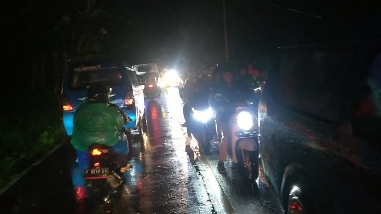Bogor Barat Dilanda Angin Kencang dan Hujan Deras, Pohon Tumbang 