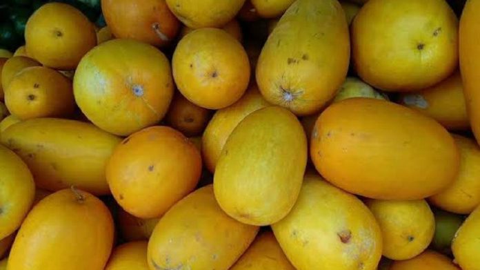 Petani Timun Suri di Bogor Ngeluh, Tahun Ini Kurang Laku
