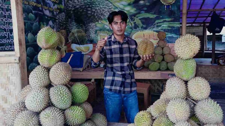 Warung Durian Fazri Al Idrus, Suguhkan Ragam Durian Murah Meriah Berkualitas