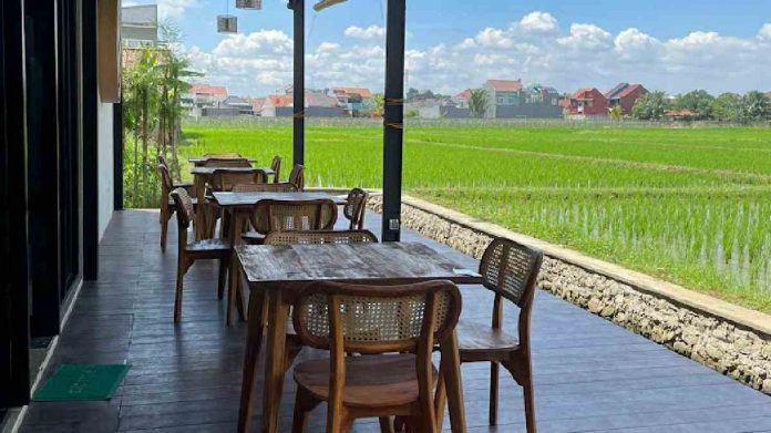 Nongkrong di Cafe Unik & Estetik dengan Tengah Sawah yang Luas di Kota Bogor