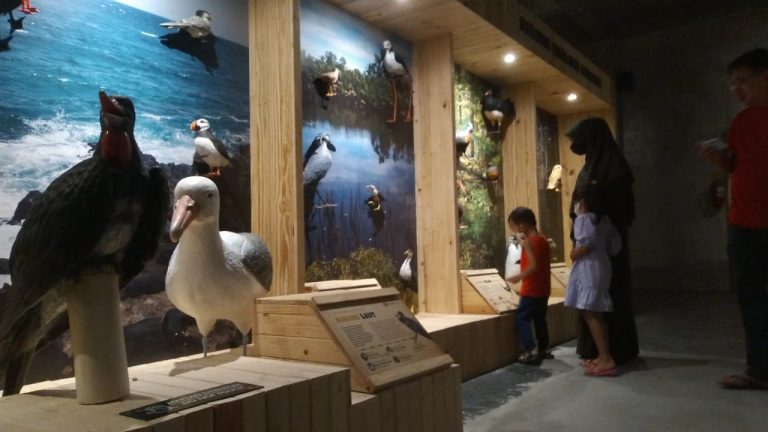 Menilik Animalium Brin, Pusat Wisata Edukasi Hewan Pertama di Indonesia