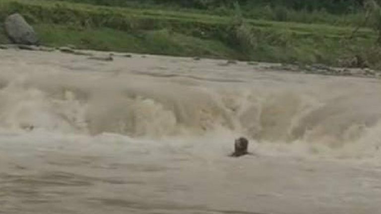 Sungai Cipamingkis Meluap, Area Wisata di Jonggol Bogor Diterjang Banjir