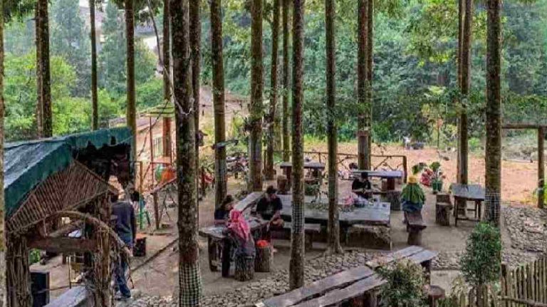 Cafe Bernuansa Alam di Bogor, Surga Nongkrong di Tengah Hutan Pinus yang Buka 24 Jam