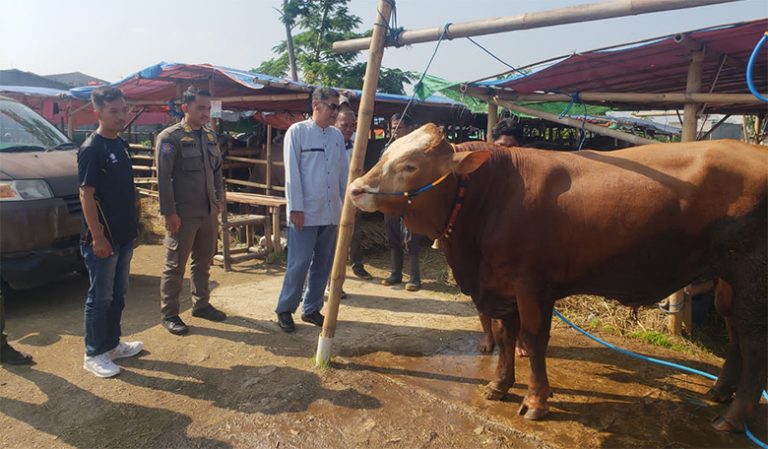 Disnakan Kabupaten Bogor: Hewan Kurban Dipastikan Sehat H-3 Idul Adha