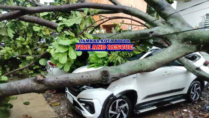 Hujan Badai di Kota Bogor, Pohon Besar Bertumbangan, Banjir, Longsor di Mana-mana