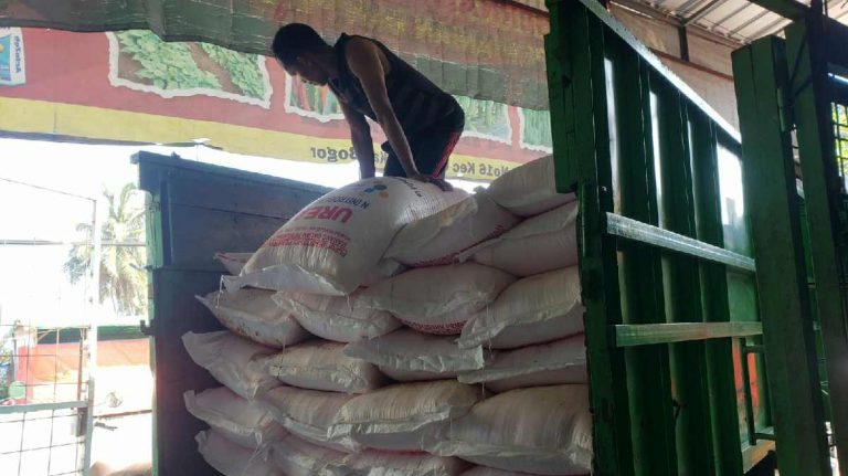 Pupuk Subsidi di Bogor Langka, Petani Terpaksa Beli Pupuk Nonsubsidi