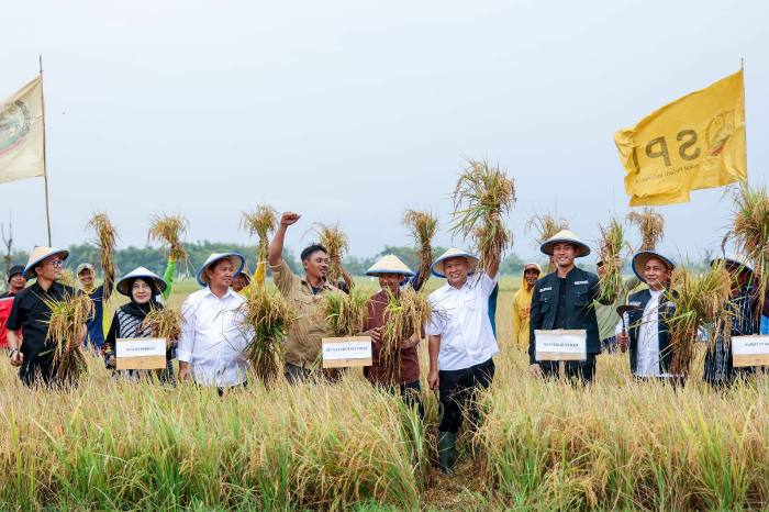 KemenKopUKM Dorong Pengembangan Proyek Pilot Koperasi Modern Petani Padi di Tuban
