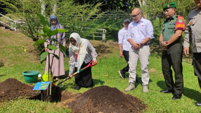 pohon langka Kebun Raya