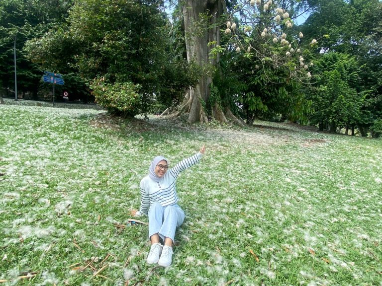 Cantik Banget, Hamparan Salju Kapuk Hiasi Kebun Raya Bogor