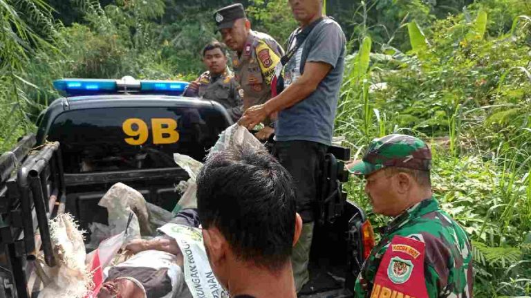 Mayat Misterius di Tamansari Bogor, Jatuh dari Tebing 30 Meter