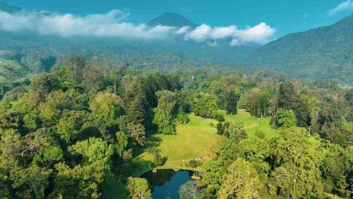 Polusi Ibu Kota, Kebun Raya Sebagai Solusi Healing