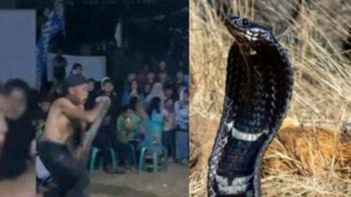 Profil Bah Kobra, Pawang Ular yang Tewas dipatuk Ular Kobra di Sumedang