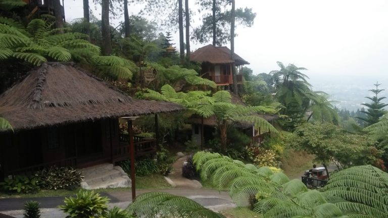 Menikmati Desa Wisata di Bukit Caimandala Puncak Bogor