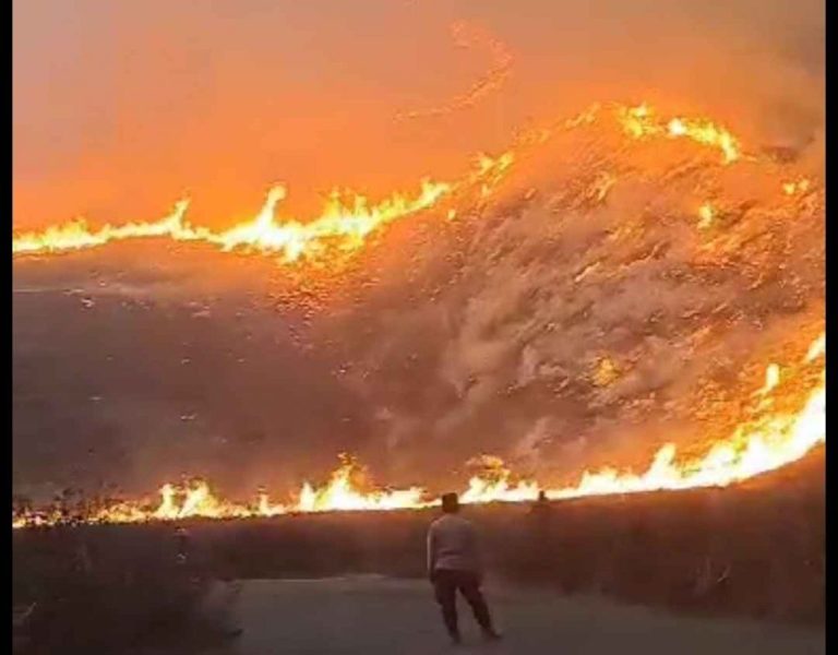 Manajer WO Jadi Tersangka Kebakaran di Bukit Bromo