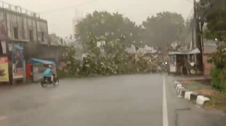 Awas! Pohon Tumbang Melintang di Jalan Raya Tajur, Mobil Terjepit