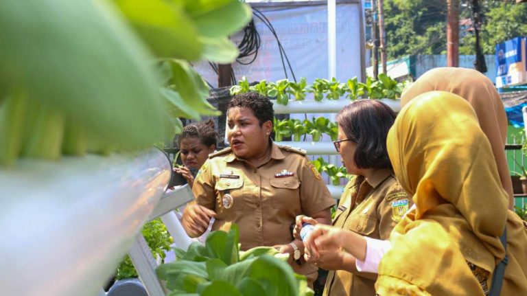 Kisah BRInita di Jayapura: Urban Farming Jadi Gaya Baru Bertani di Lahan Sempit