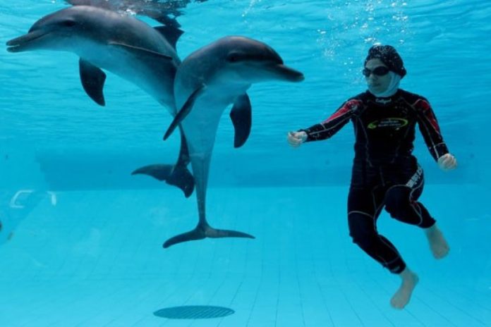 Sensasi berenang bersama lumba-lumba atau swimming with dolphin di Taman Safari Bogor