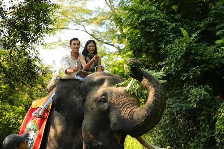 Serunya Naik Elephant Trail di Taman Safari Bogor