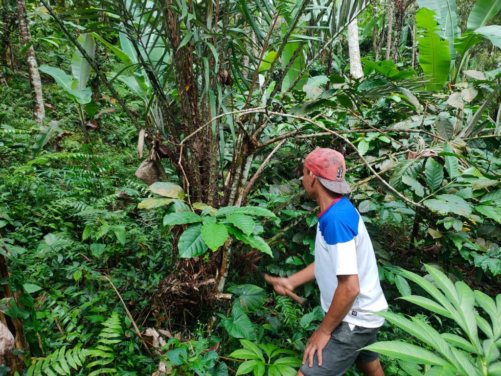 Klasterku Hidupku BRI
