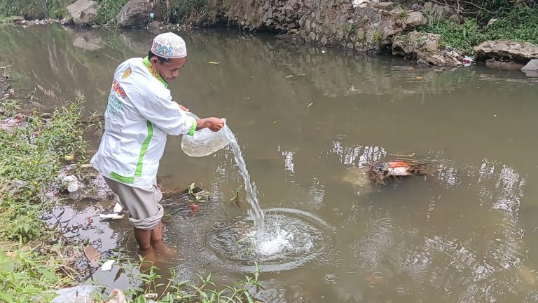 Ditebar di Sungai Ciesek Puncak, Ribuan Ikan Mendadak Stres