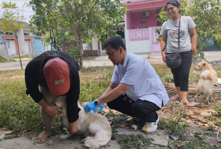 Diskanak Kabupaten Bogor Suntikan 3 Ribu Dosis Vaksin Rabies Gratis ke Hewan Peliharaan