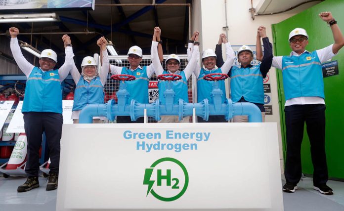 PLN green hydrogen