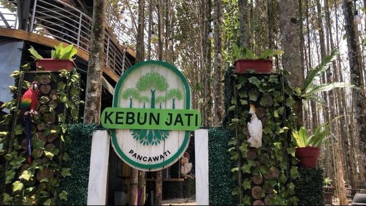 Kebun Jati Pancawati: Harga Tiket dan Jam Operasional