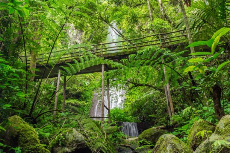 Cocok untuk Healing saat Cuaca Panas, Ini Spot Sejuk di Taman Safari Bogor