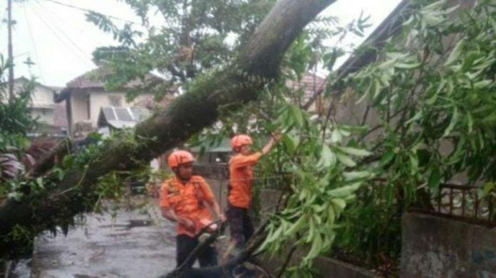 BPBD Catat 17 Desa di Kabupaten Bogor Terdampak Angin Kencang 