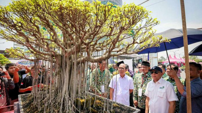 MenKopUKM: Pembentukan Koperasi Pemasaran Jahema Bonsai Sejahtera Perkuat Terwujudnya Ekspor Bonsai