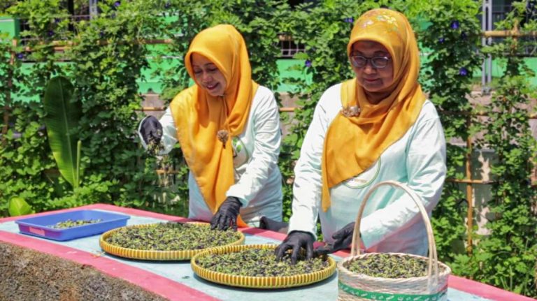 Berkat “BRInita”, Teh Herbal Jadi Produk Unggulan Poktan Bensor Semarang