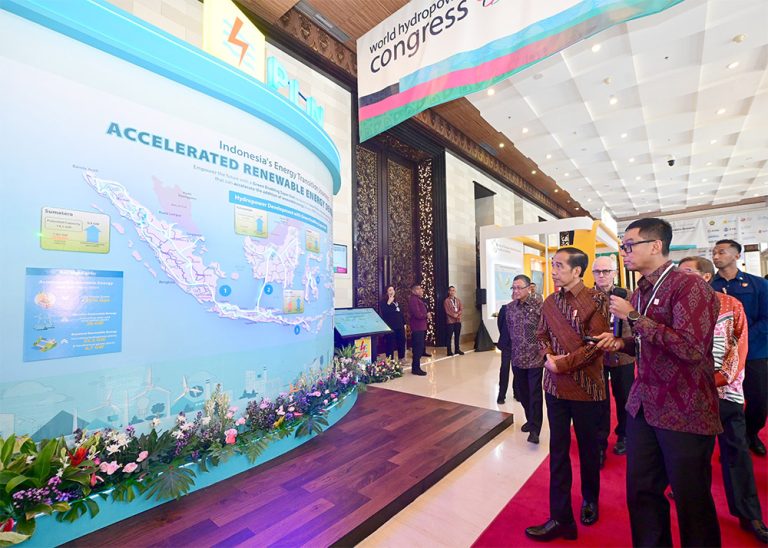 Dirut PLN Paparkan Pengembangan Hydropower di Hadapan Presiden Jokowi