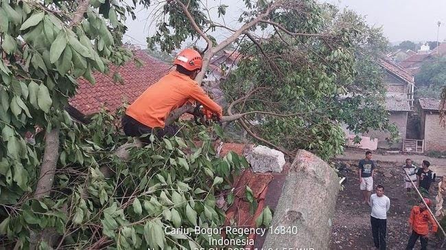 BPBD Catat 588 Bangunan Rusak Akibat Angin Kencang di Kabupaten Bogor