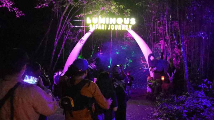Parade Hutan Menyala ‘Luminous Journey’ di Taman Safari Bogor Diserbu Wisatawan