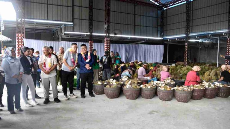 KemenKopUKM: Ekosistem Bisnis Kondusif Penting Agar Durian Lokal Mampu Bersaing di Pasar Global