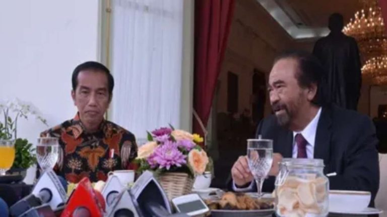 Presiden Jokowi Jelaskan Isi Pertemuan dengan Surya Paloh