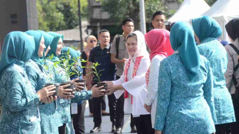 Iriana Jokowi Ikut Tanam Cabai  di Cibinong Bogor 