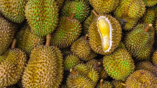 Jangan Berlebihan! Ini Bahaya Konsumsi Durian yang Harus Diketahui