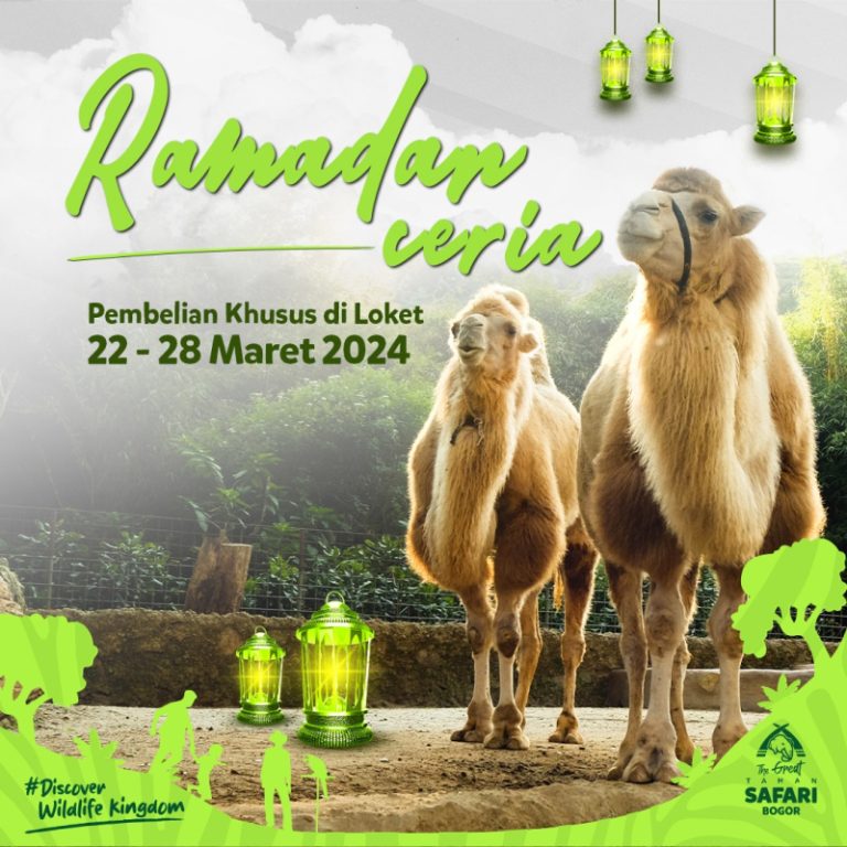 Promo Ramadan Ceria: Masuk Taman Safari Bogor Hanya Rp250 Ribu