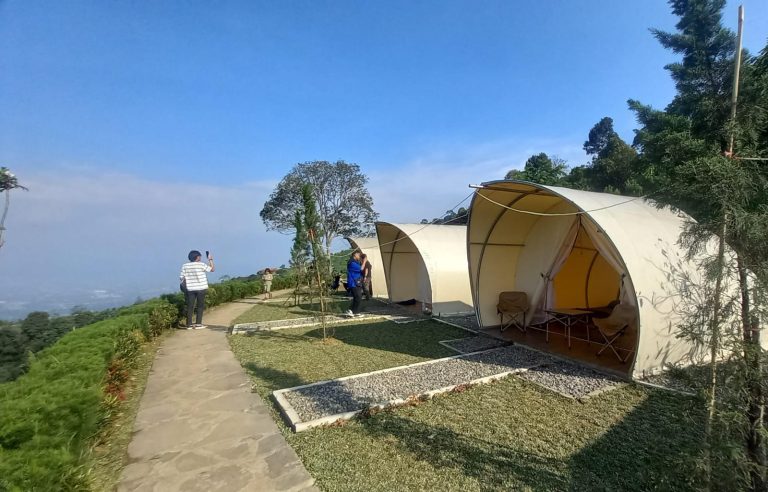 D’rajih Nature Camp, Tawarkan Suasana Lautan Awan dan City Light Cijeruk Bogor