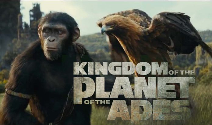 sinopsis Kingdom of the Planet of the Apes