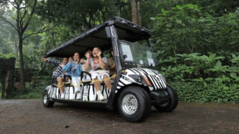 Tiket Masuk Taman Safari Bogor Hanya Rp215 Ribu hingga 15 Agustus 2024!