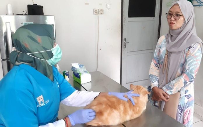 Pemkab Bogor Hadirkan Layanan Vaksinasi Hewan Gratis di 6 Wilayah