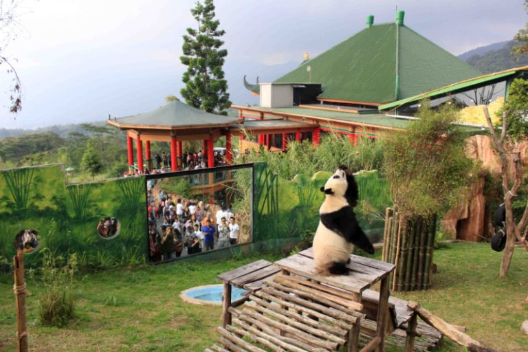 Jam Buka Operasional Taman Safari Bogor 2024, Catat!