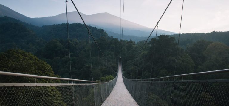 Wisata Hidden Gems di Bogor dengan Pemandangan Spektakuler