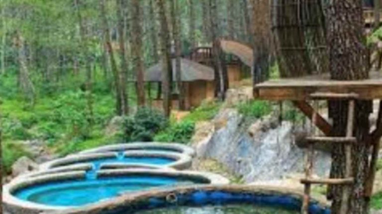 12 Tempat Wisata di Bogor Yang Sejuk Selain Kebun Raya 